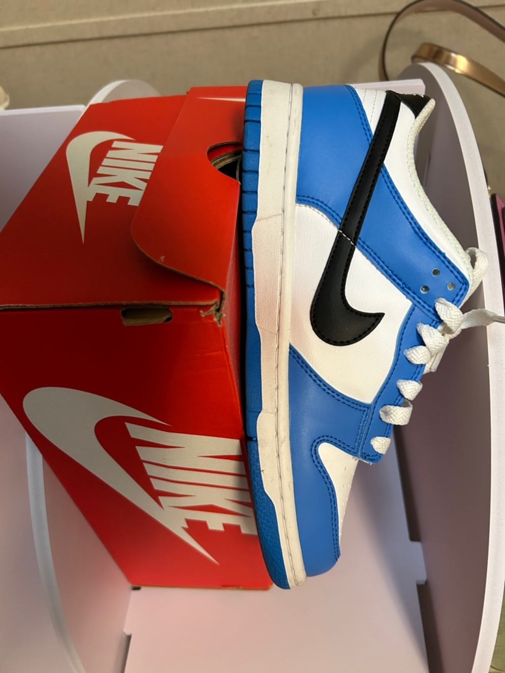 Nike Dunk Sneakers in Blue, White & Black